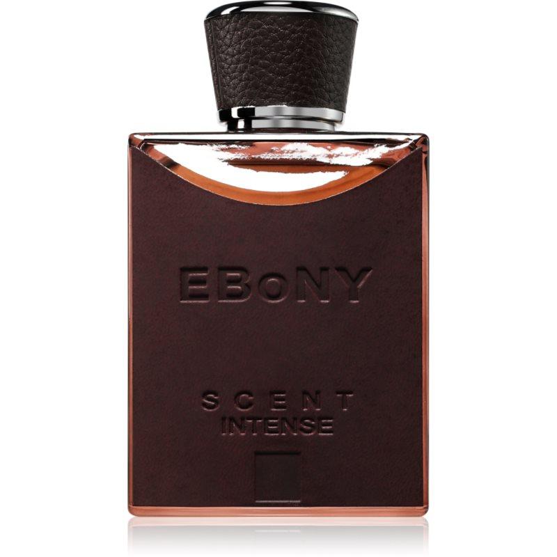 Fragrance World Ebony Scent Intense parfémovaná voda pro muže 100 ml