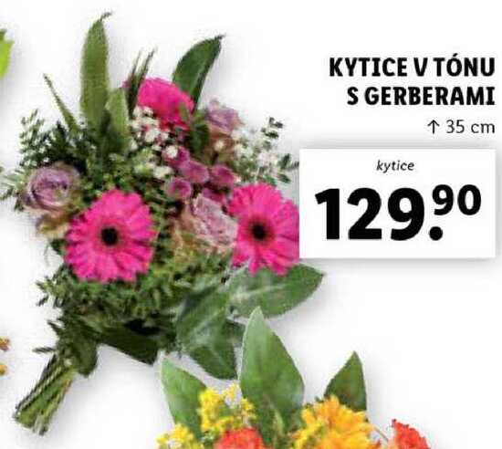 KYTICE V TÓNU S GERBERAMI 