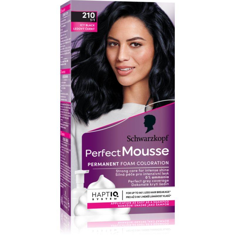 Schwarzkopf Perfect Mousse permanentní barva na vlasy odstín 210 Ledový černý 1 ks