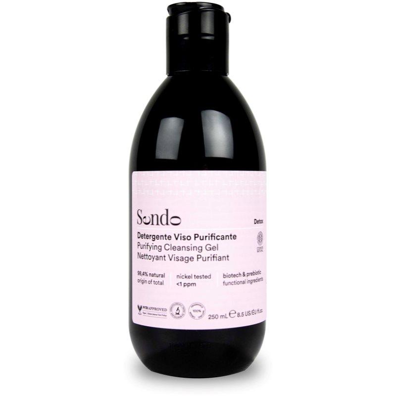 Sendo Detox Purifying Cleansing Gel čisticí gel na obličej 250 ml