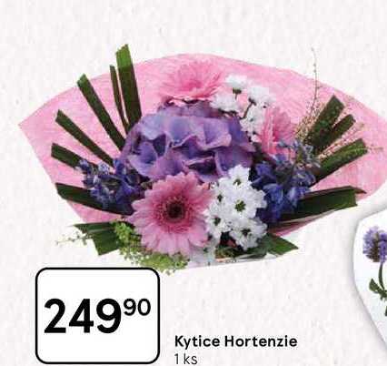 Kytice Hortenzie, 1 ks 