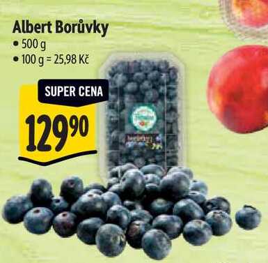 Albert Borůvky, 500 g