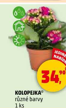 KOLOPEJKA různé barvy, 1 ks 