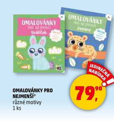 OMALOVÁNKY PRO NEJMENŠÍ různé motivy, 1 ks 