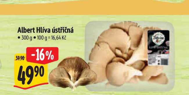 Albert Hlíva ústřičná 300 g  