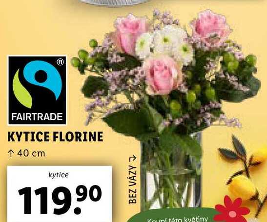 KYTICE FLORINE