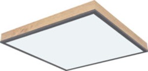 3: Stropní LED svítidlo Ludwig