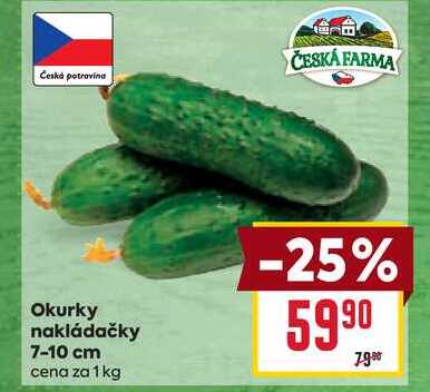 Okurky nakládačky 7-10 cm cena za 1 kg 