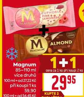  Magnum 85-110 ml více druhů 