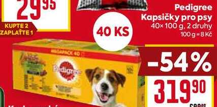Pedigree Kapsičky pro psy 40× 100 g, 2 druhy 