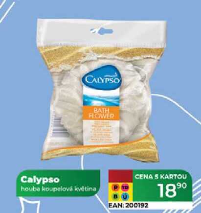 Calypso houba koupelová květina