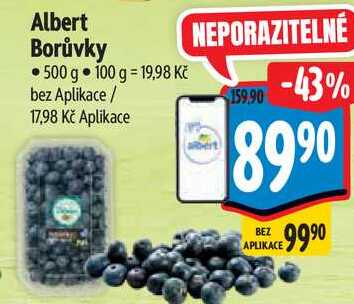 Albert Borůvky, 500 g