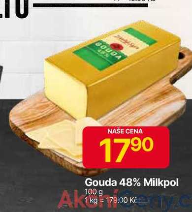 Milkpol Gouda 48% 100 g 