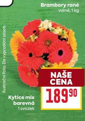 Kytice mix barevná 1 svazek 