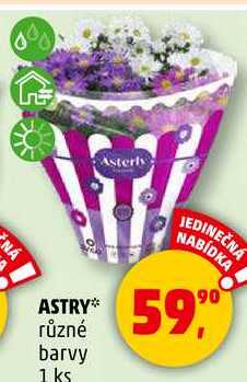 ASTRY různé barvy, 1 ks 