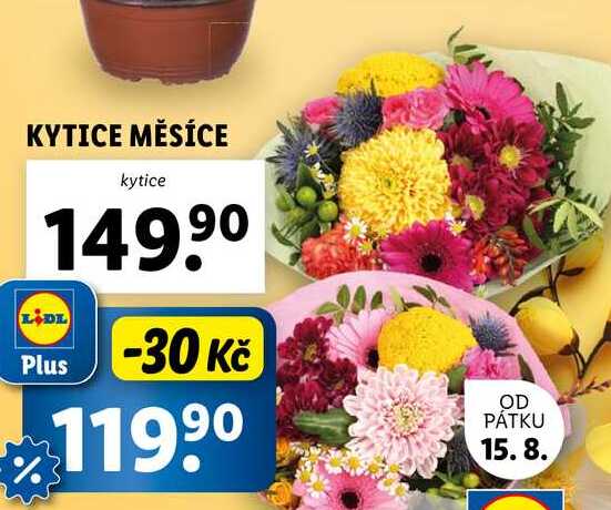 KYTICE MĚSÍCE