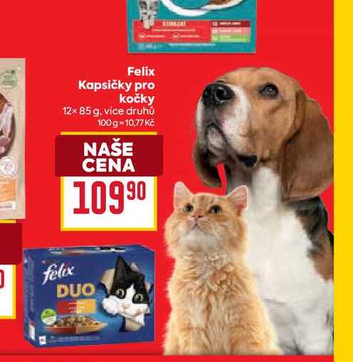 Felix Kapsičky pro kočky 12× 85 g