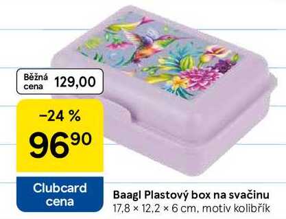 Baagl Plastový box na svačinu, 17,8 × 12,2 x 6 cm, motiv kolibřík 