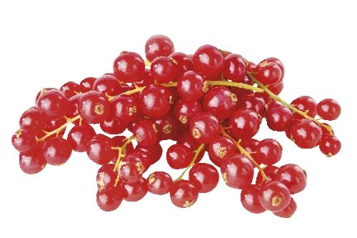Rybíz červený, 125 g