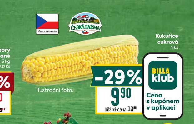 Kukuřice cukrová 1ks