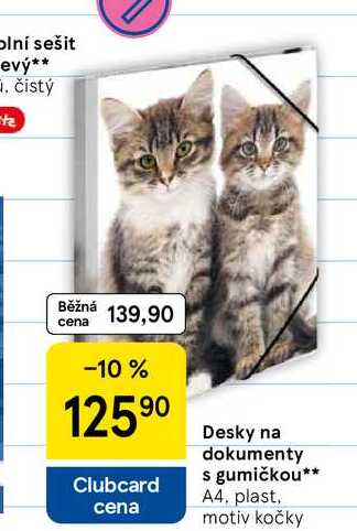 Desky na dokumenty s gumičkou, A4. plast, motiv kočky 