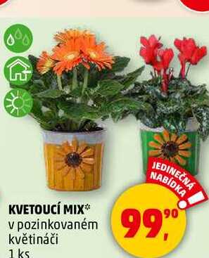 KVETOUCÍ MIX v pozinkovaném květináči, 1 ks