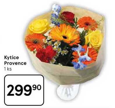 Kytice Provence, 1 ks 