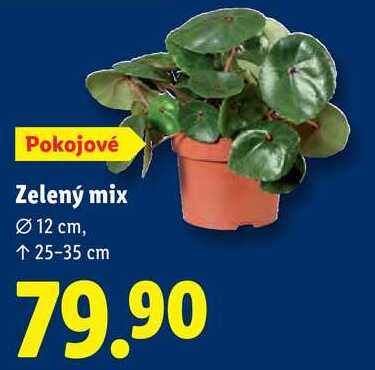 Zelený mix 