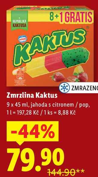 Zmrzlina Kaktus, 9x 45 ml