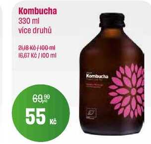Kombucha 330 ml více druhů