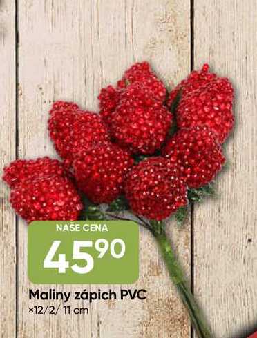 Maliny zápich PVC ×12/2/11 cm 