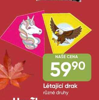 Létající drak různé druhy 
