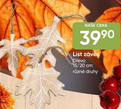 List závěs Dřevo 15/20 cm různé druhy 