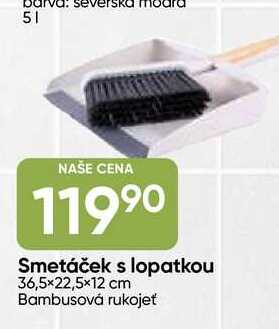 Smetáček s lopatkou 36,5×22,5×12 cm Bambusová rukojeť 