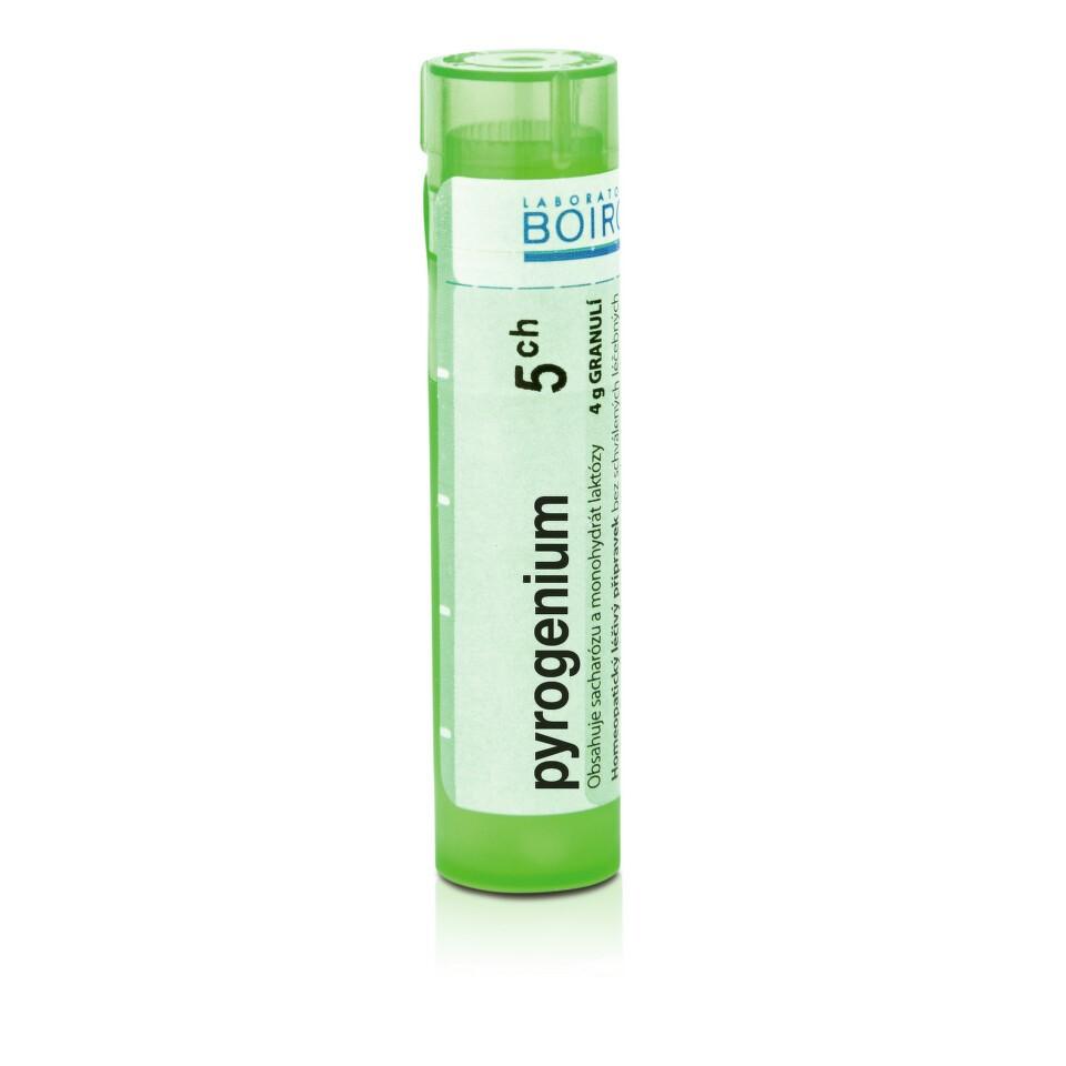 Pyrogenium 5CH granule 4g