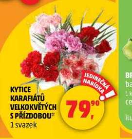 KYTICE KARAFIÁTŮ VELKOKVĚTÝCH S PŘÍZDOBOU, 1 svazek