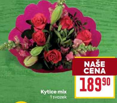 Kytice mix 1 svazek 