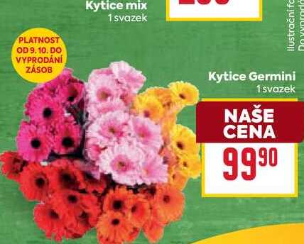 Kytice Germini 1 svazek 