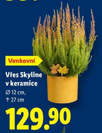 Vřes Skyline v keramice