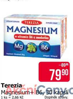 TEREZIA Magnesium+ B6, 30 kapslí 