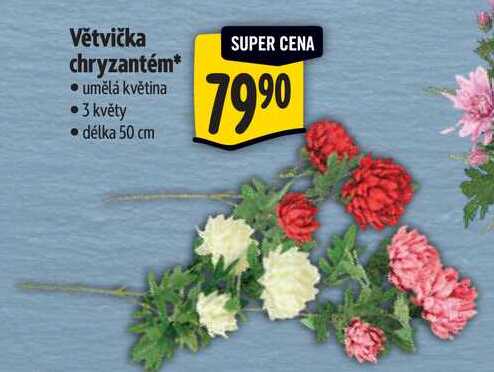 Větvička chryzantém