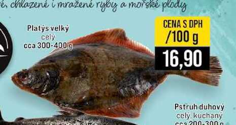 Platýs velký celý 100 g