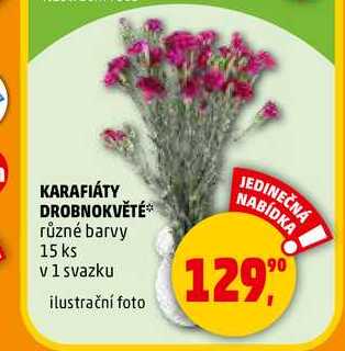 KARAFIÁTY DROBNOKVĚTÉ 15 ks, 1 svazku 