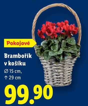 Brambořík v košíku 
