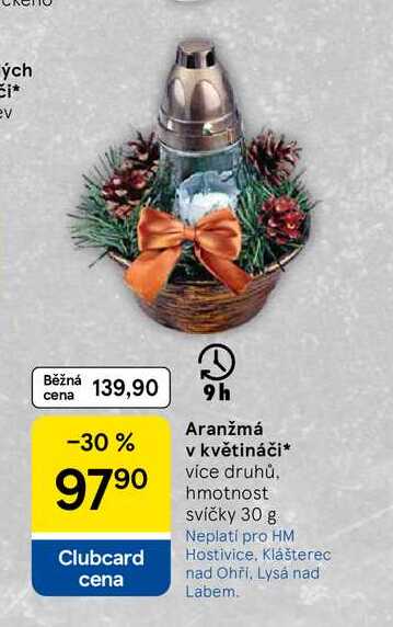 Aranžmá v květináči
