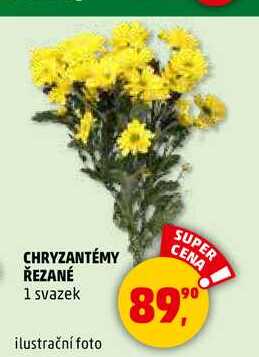 CHRYZANTÉMY ŘEZANÉ, 1 svazek