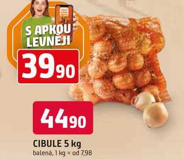 CIBULE 5 kg balená