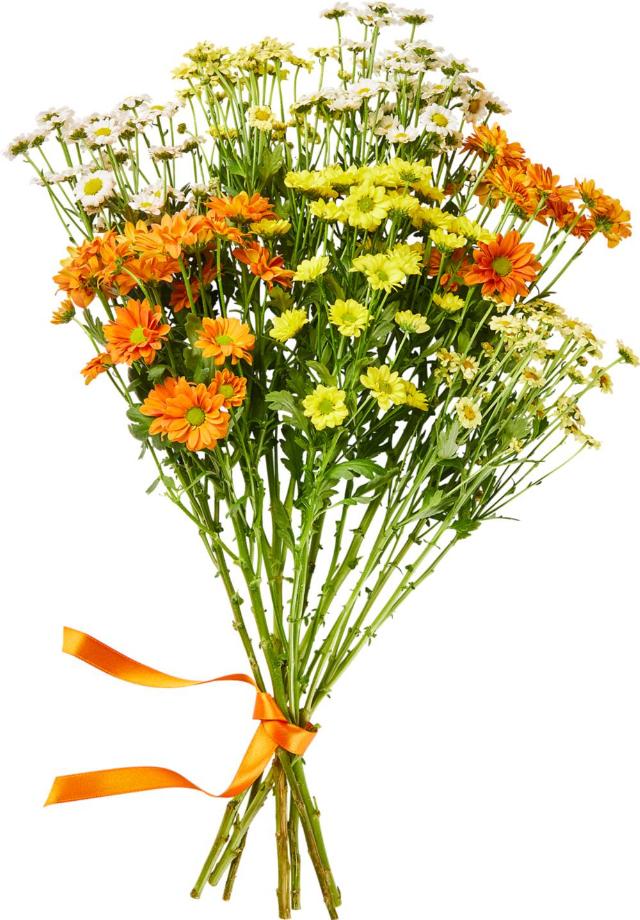 Kytice chryzantémy Santini