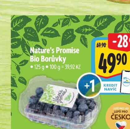 Nature's Promise Bio Borůvky 125 g