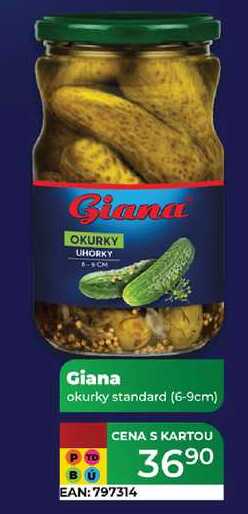 Giana okurky standard (6-9cm) 